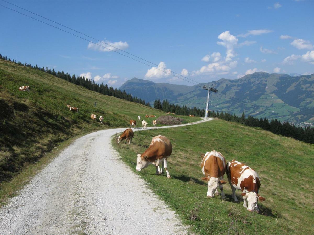 Künstlhäusl Jochberg